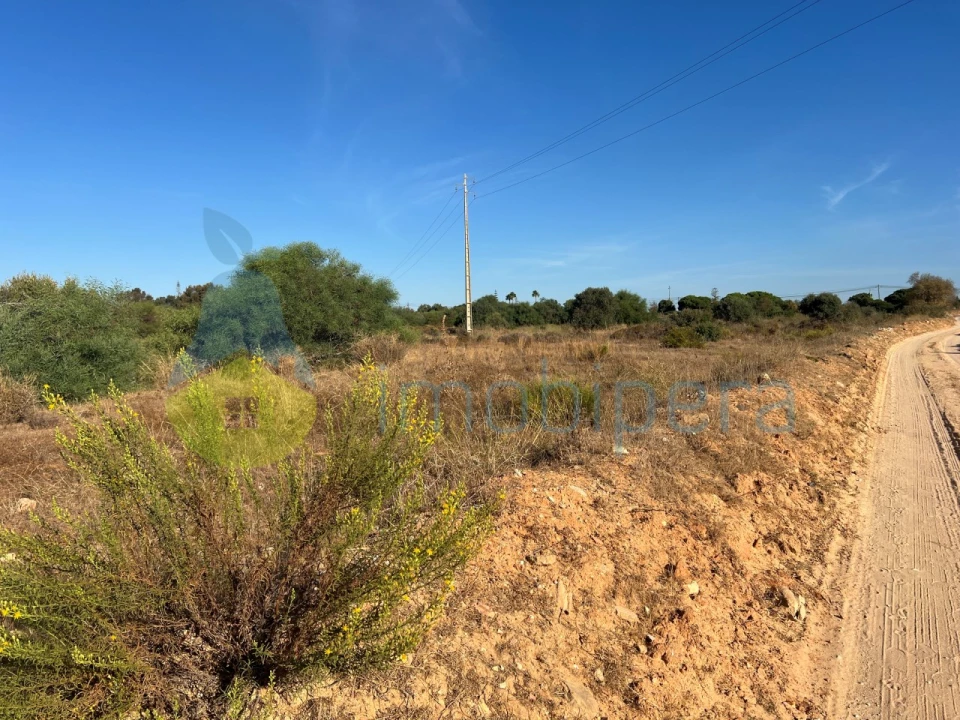 Terreno Agricola ou Rústico para Venda em Porches Foto 10