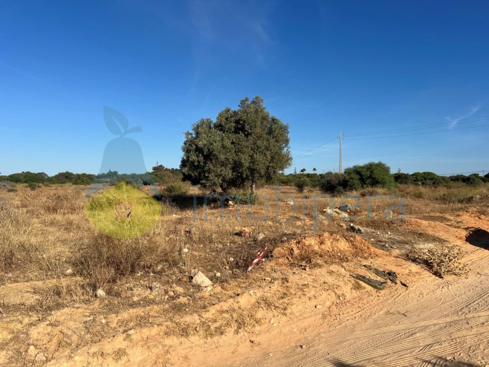 Terreno Agricola ou Rústico para Venda em Porches Foto 14