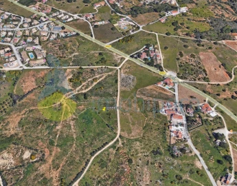Terreno Agricola ou Rústico para Venda em Porches