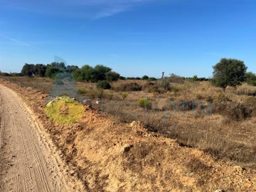Terreno Agricola ou Rústico para Venda em Porches
