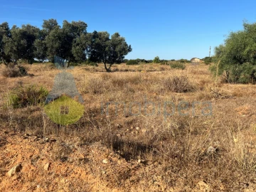 Terreno Agricola ou Rústico para Venda em Porches