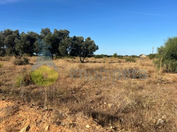 Terreno Agricola ou Rústico para Venda em Porches