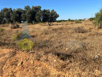 Terreno Agricola ou Rústico para Venda em Porches