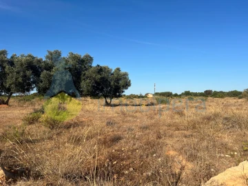 Terreno Agricola ou Rústico para Venda em Porches