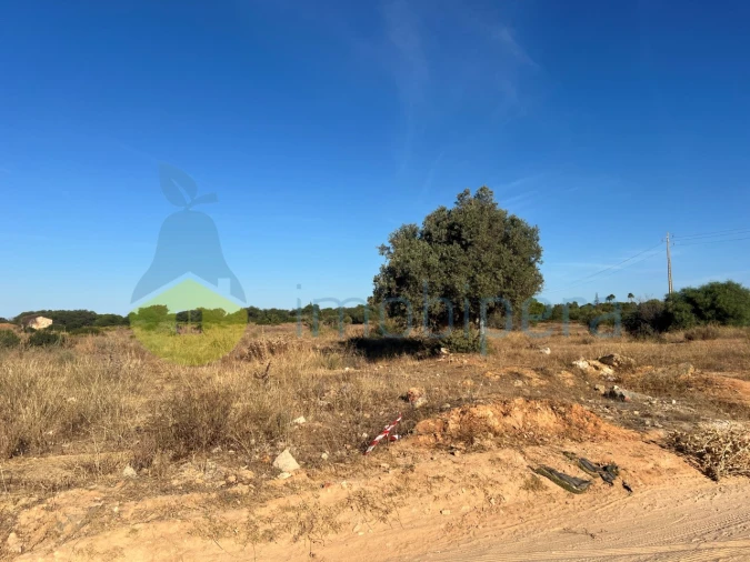 Terreno Agricola ou Rústico para Venda em Porches Foto 2