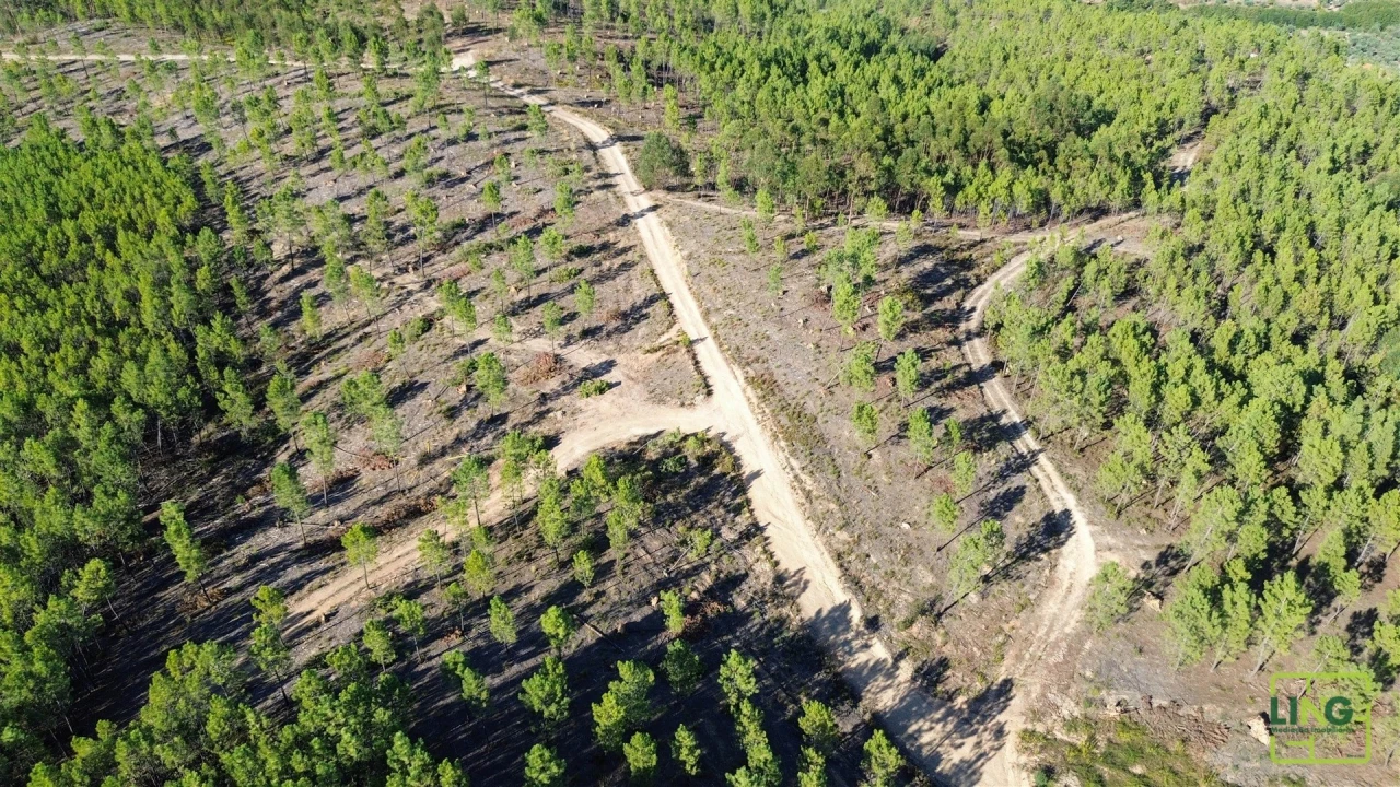 Terreno Agricola ou Rústico para Venda em Sarzedas Foto 30