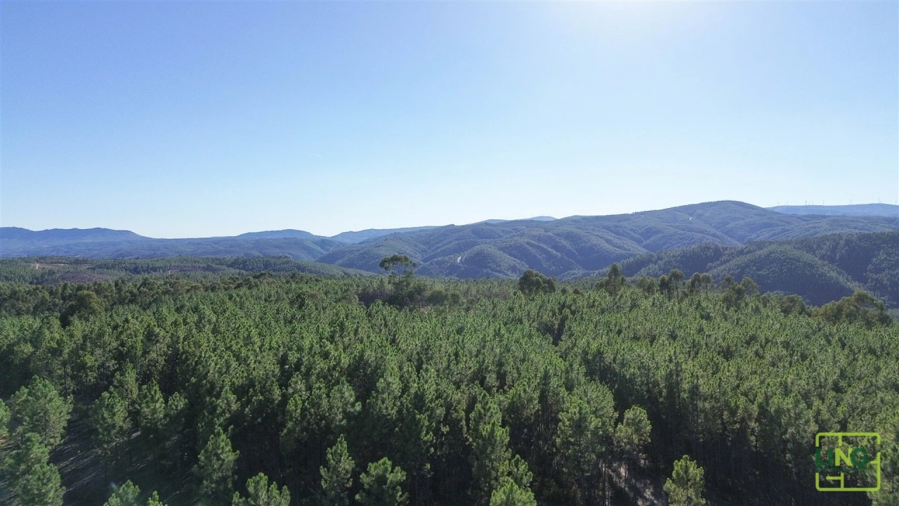 Terreno Agricola ou Rústico para Venda em Sarzedas Foto 10