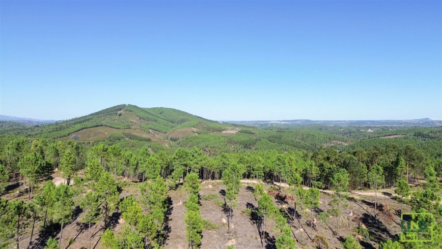 Terreno Agricola ou Rústico para Venda em Sarzedas Foto 18