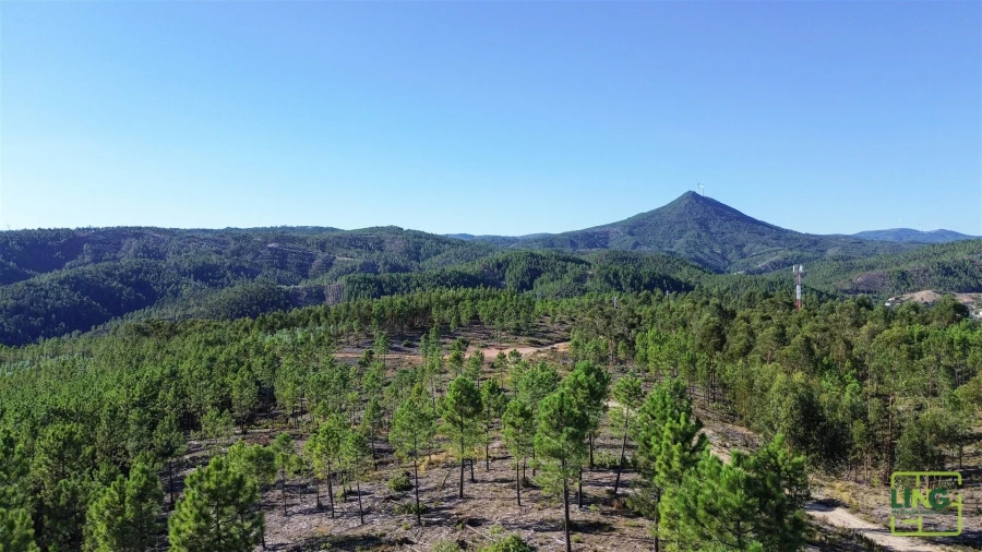 Terreno Agricola ou Rústico para Venda em Sarzedas Foto 22