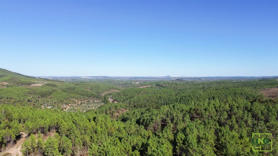 Terreno Agricola ou Rústico para Venda em Sarzedas Foto 11