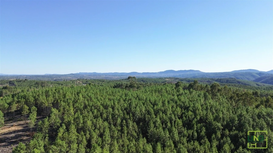 Terreno Agricola ou Rústico para Venda em Sarzedas Foto 16