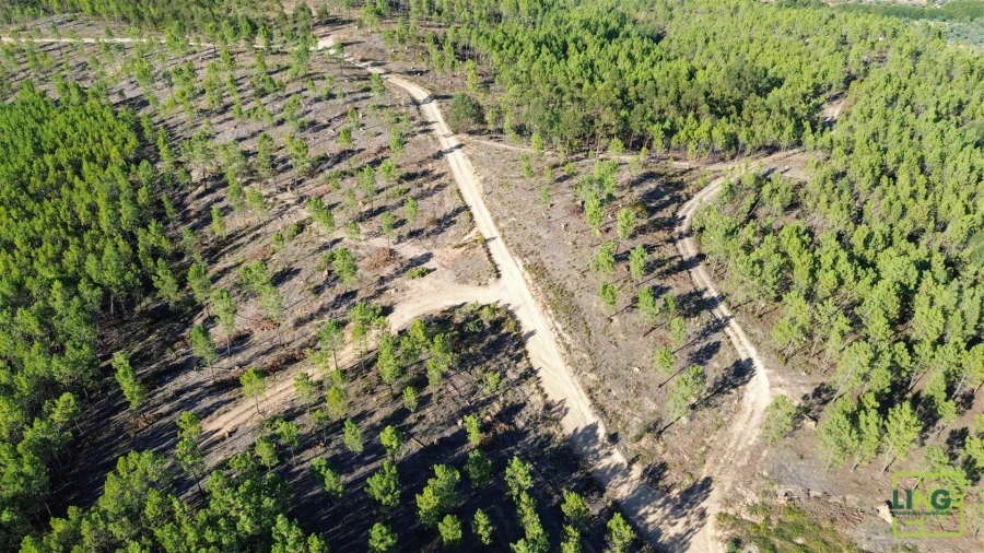 Terreno Agricola ou Rústico para Venda em Sarzedas Foto 30