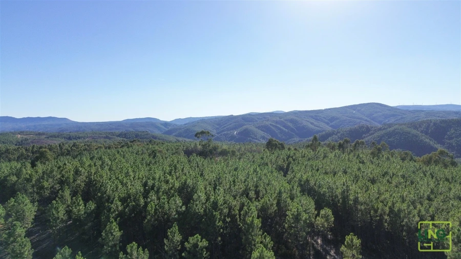 Terreno Agricola ou Rústico para Venda em Sarzedas Foto 10