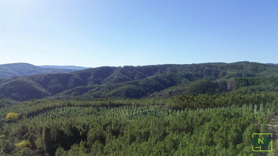 Terreno Agricola ou Rústico para Venda em Sarzedas Foto 24
