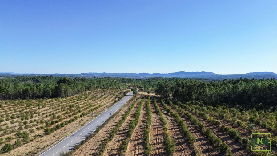 Terreno Agricola ou Rústico para Venda em Sarzedas Foto 5