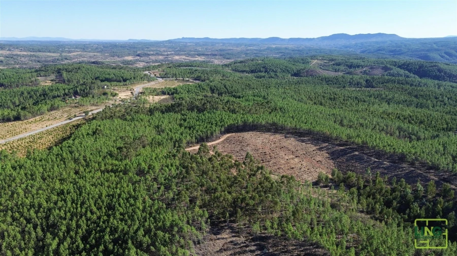 Terreno Agricola ou Rústico para Venda em Sarzedas Foto 27