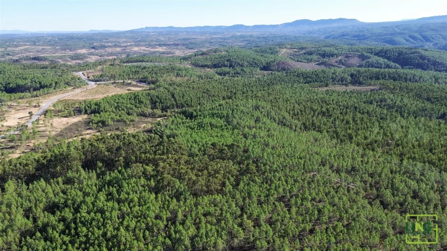 Terreno Agricola ou Rústico para Venda em Sarzedas Foto 28