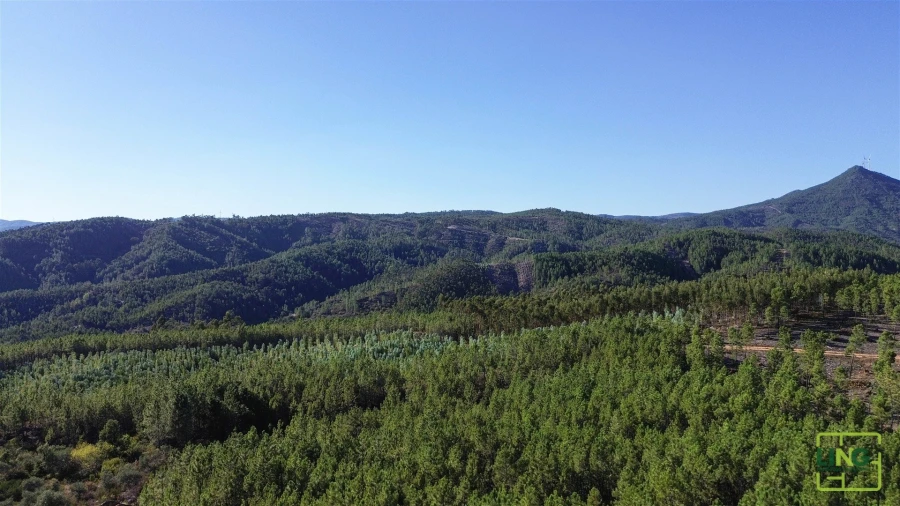 Terreno Agricola ou Rústico para Venda em Sarzedas Foto 14