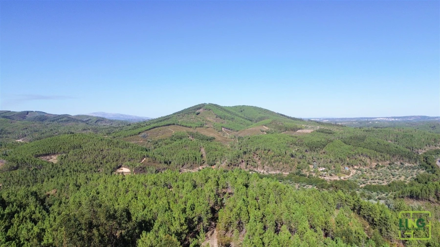 Terreno Agricola ou Rústico para Venda em Sarzedas Foto 20