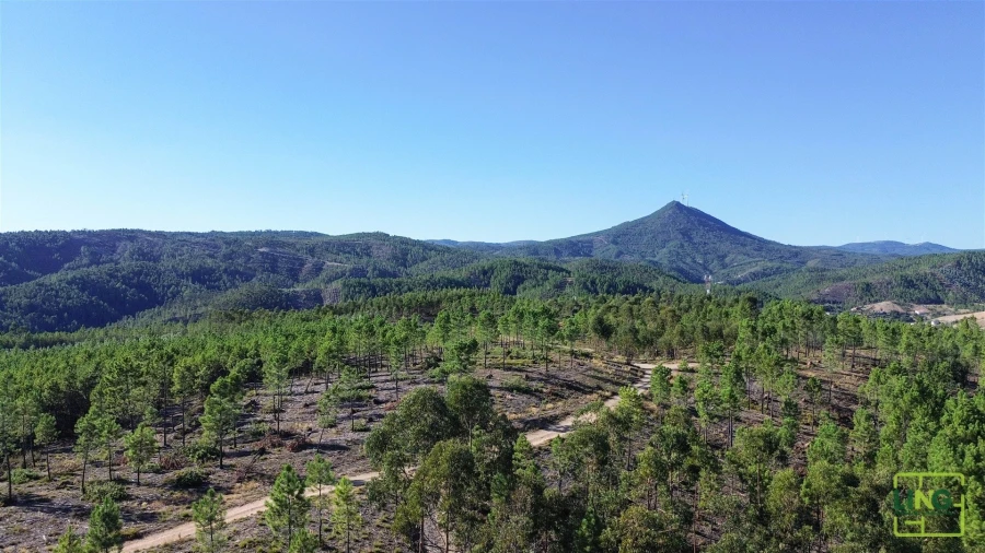 Terreno Agricola ou Rústico para Venda em Sarzedas Foto 21