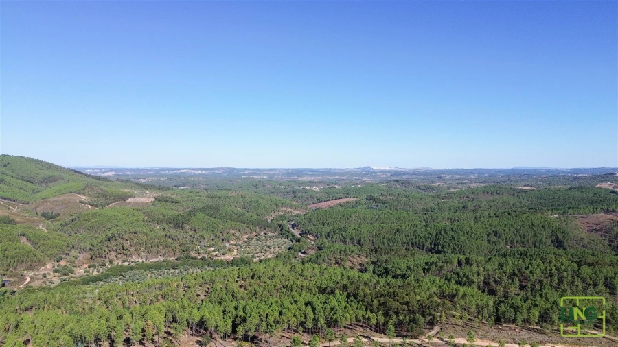 Terreno Agricola ou Rústico para Venda em Sarzedas Foto 25