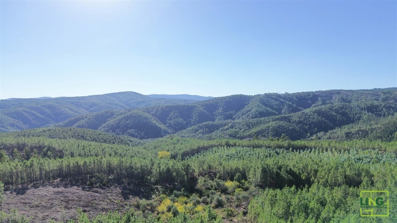Terreno Agricola ou Rústico para Venda em Sarzedas Foto 15