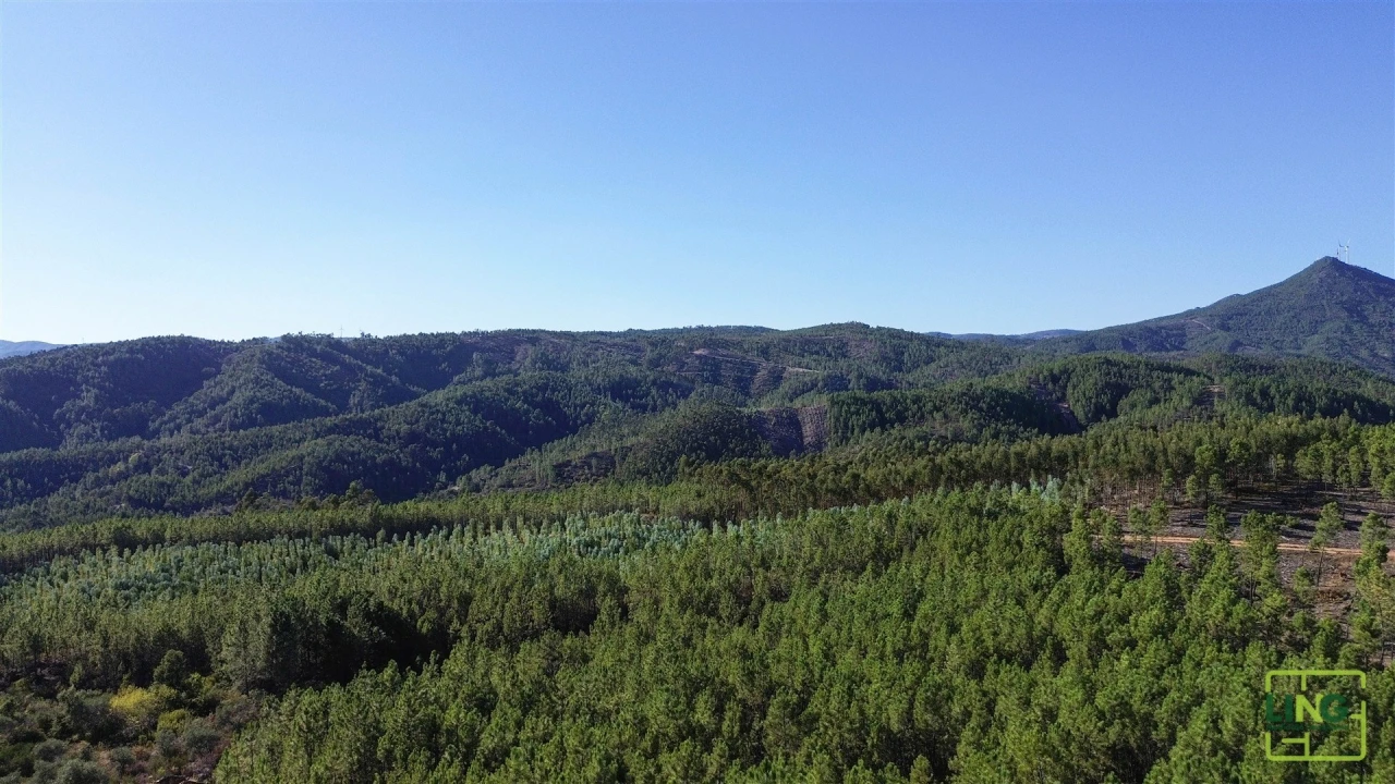 Terreno Agricola ou Rústico para Venda em Sarzedas Foto 14