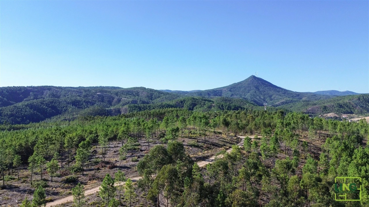 Terreno Agricola ou Rústico para Venda em Sarzedas Foto 21