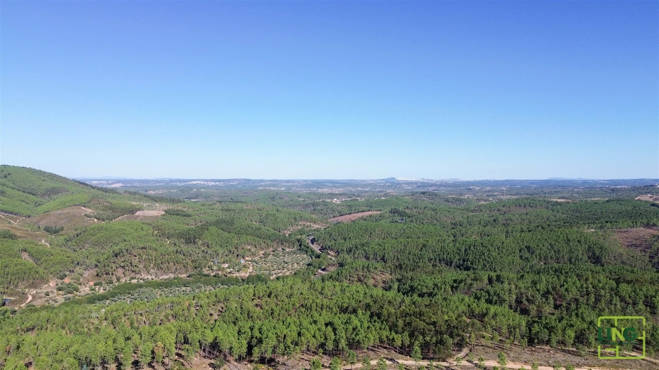 Terreno Agricola ou Rústico para Venda em Sarzedas Foto 25