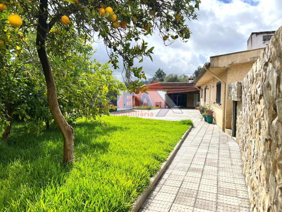 Moradia T5 para Venda em São Roque Foto 41