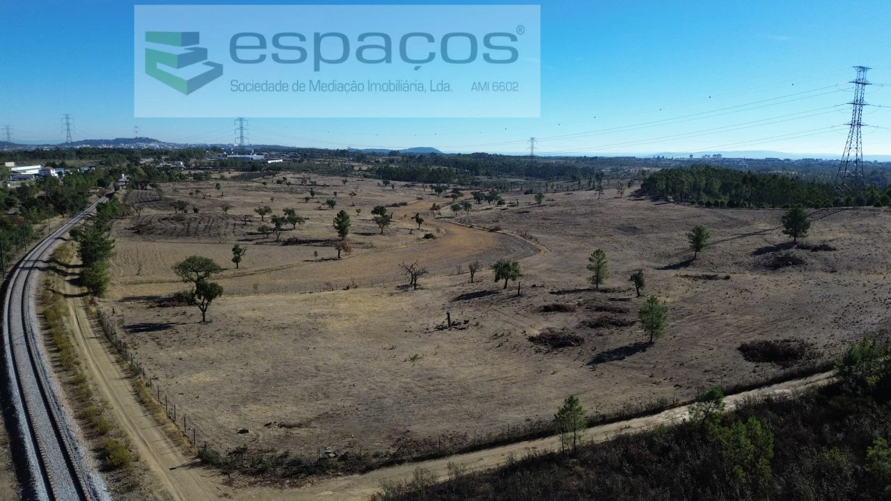 Terreno Agricola ou Rústico para Venda em Benquerenças Foto 1