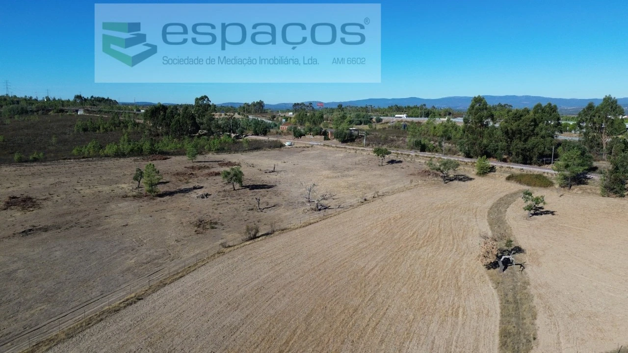 Terreno Agricola ou Rústico para Venda em Benquerenças Foto 3