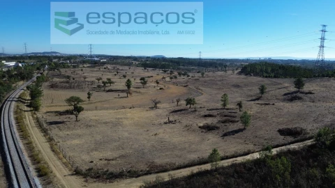 Terreno Agricola ou Rústico para Venda em Benquerenças