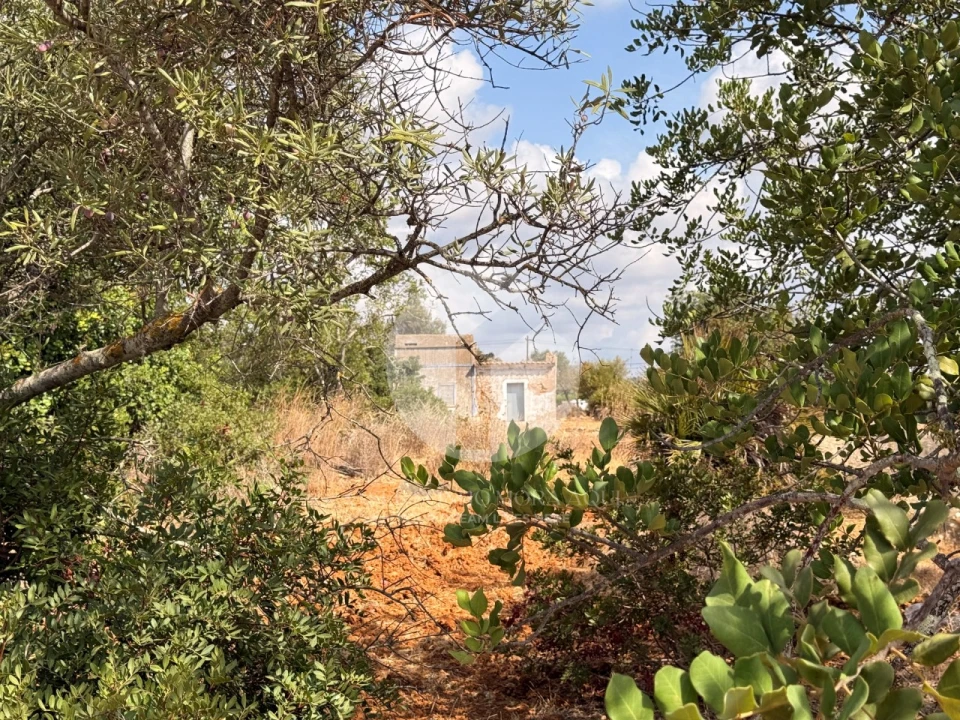 Moradia para Venda em Quelfes Foto 8
