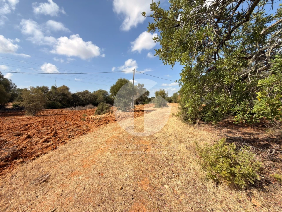 Moradia para Venda em Quelfes Foto 15