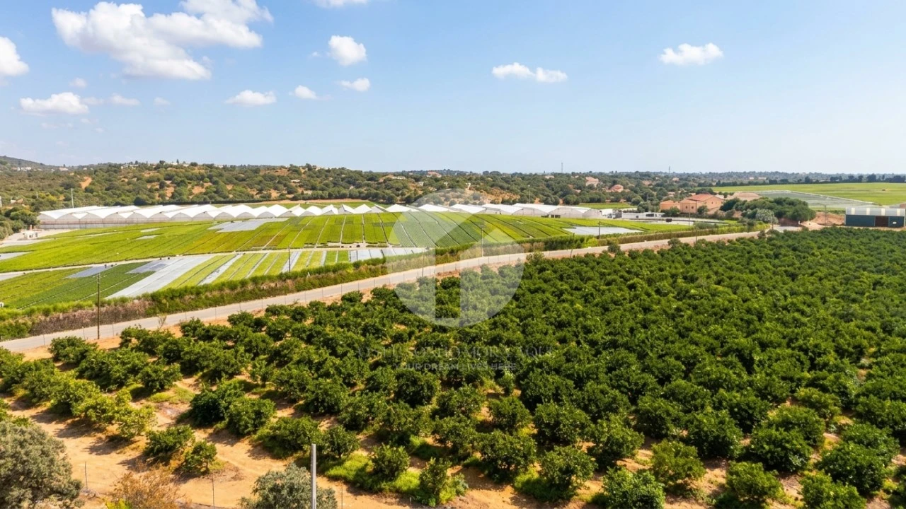 Moradia para Venda em Quelfes Foto 21