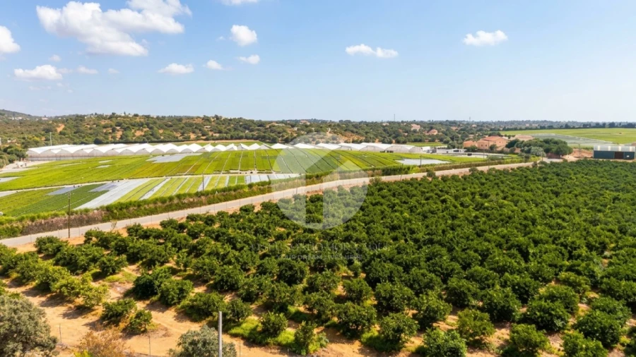 Moradia para Venda em Quelfes Foto 21