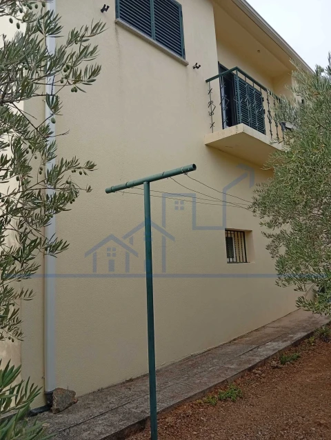 Moradia T4 para Venda em Carviçais