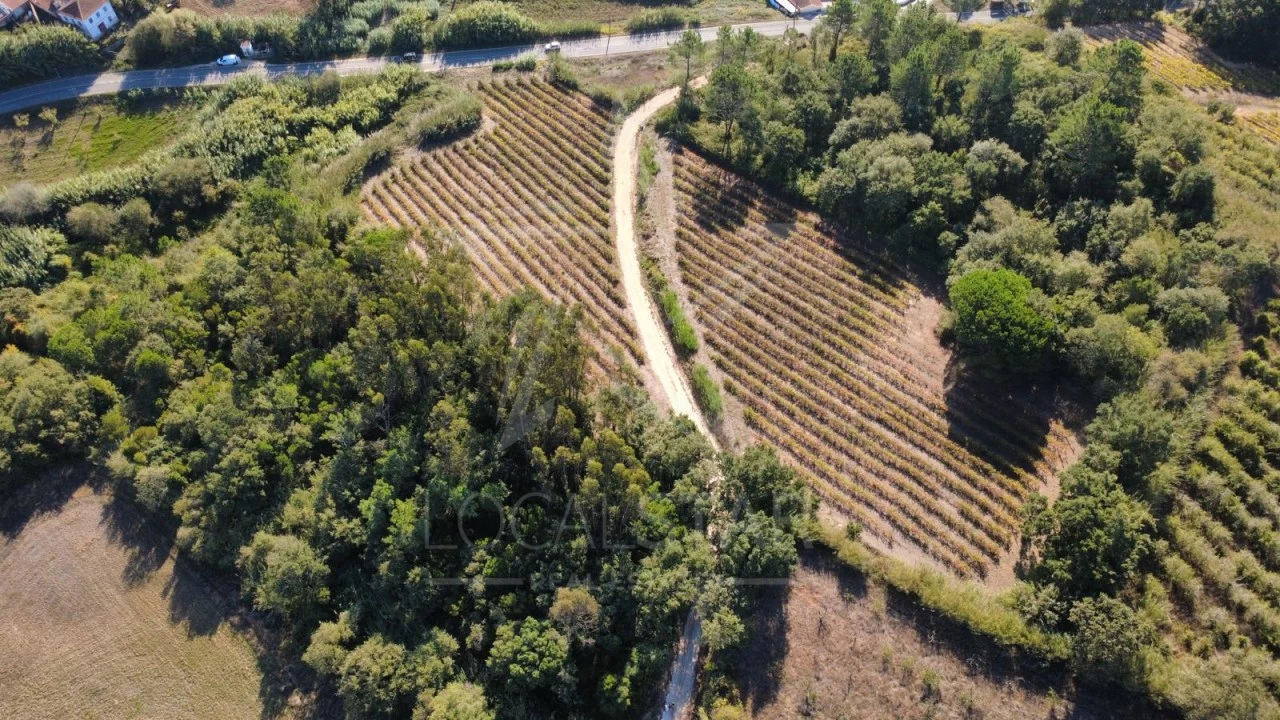 Terreno para Venda em A dos Negros Foto 1