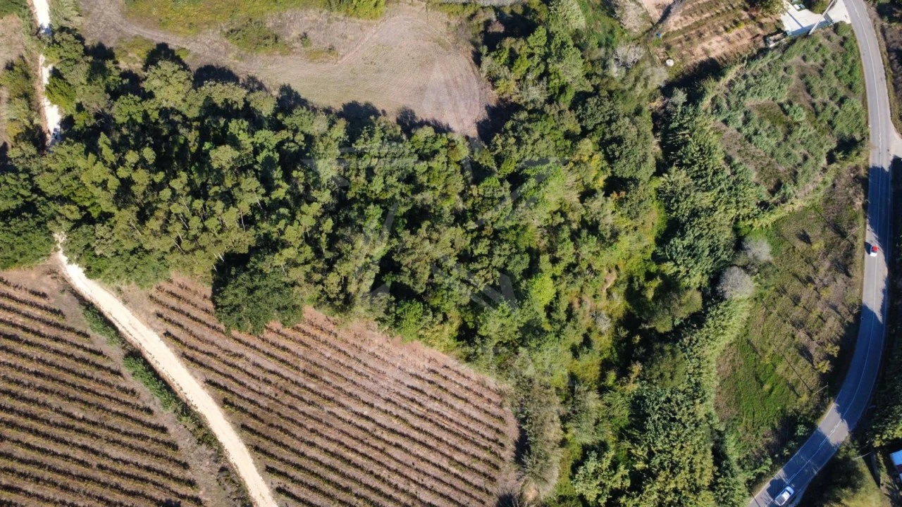 Terreno para Venda em A dos Negros Foto 9
