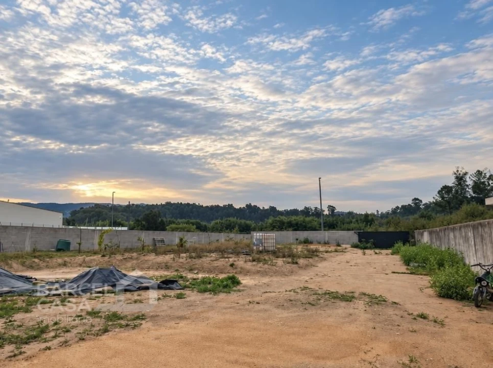Terreno para Venda em Tamel (São Verissimo) Foto 4