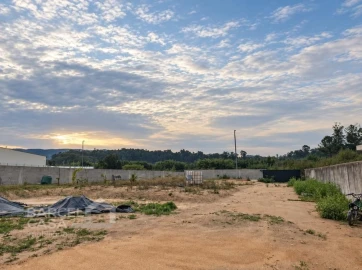 Terreno para Venda em Tamel (São Verissimo)