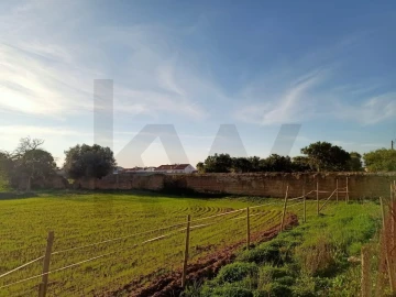 Terreno para Venda em Golegã
