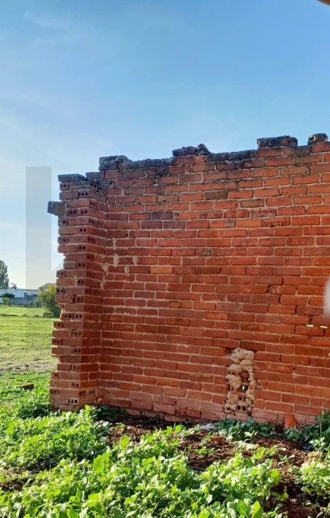 Terreno para Venda em Golegã