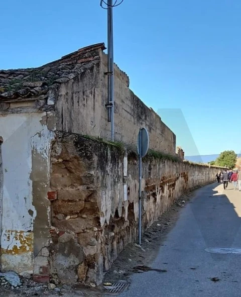 Terreno para Venda em Golegã