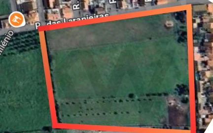Terreno para Venda em Golegã