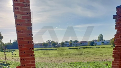 Terreno para Venda em Golegã