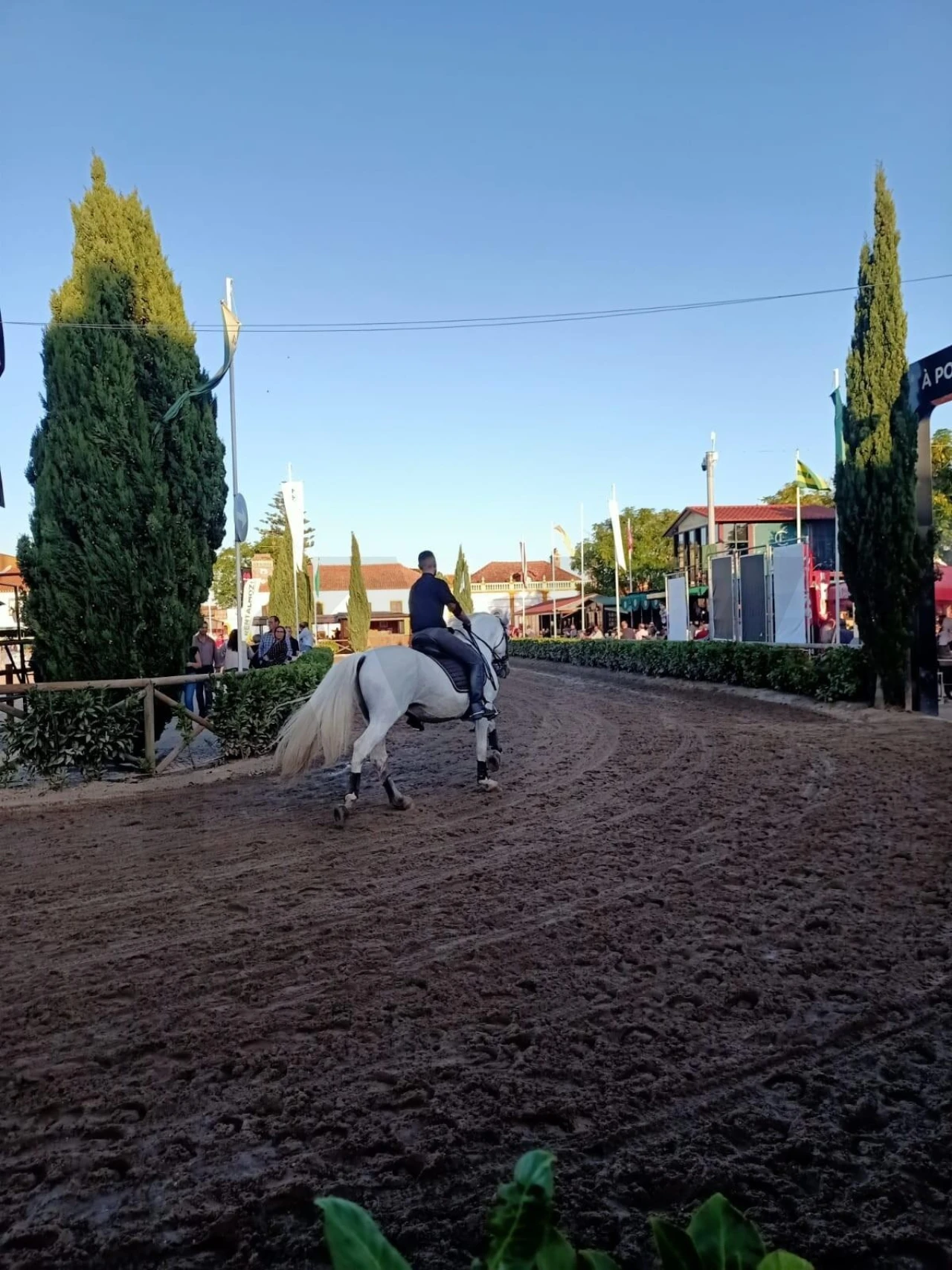 Terreno para Venda em Golegã Foto 9
