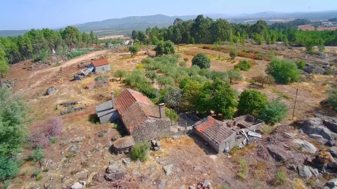 Quinta T3 para Venda em Vale de Prazeres e Mata da Rainha