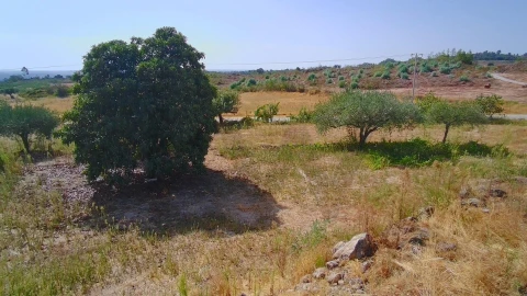 Quinta T3 para Venda em Vale de Prazeres e Mata da Rainha